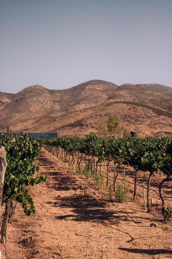 The Pangea Valle De Guadalupe Hotel Luaran gambar