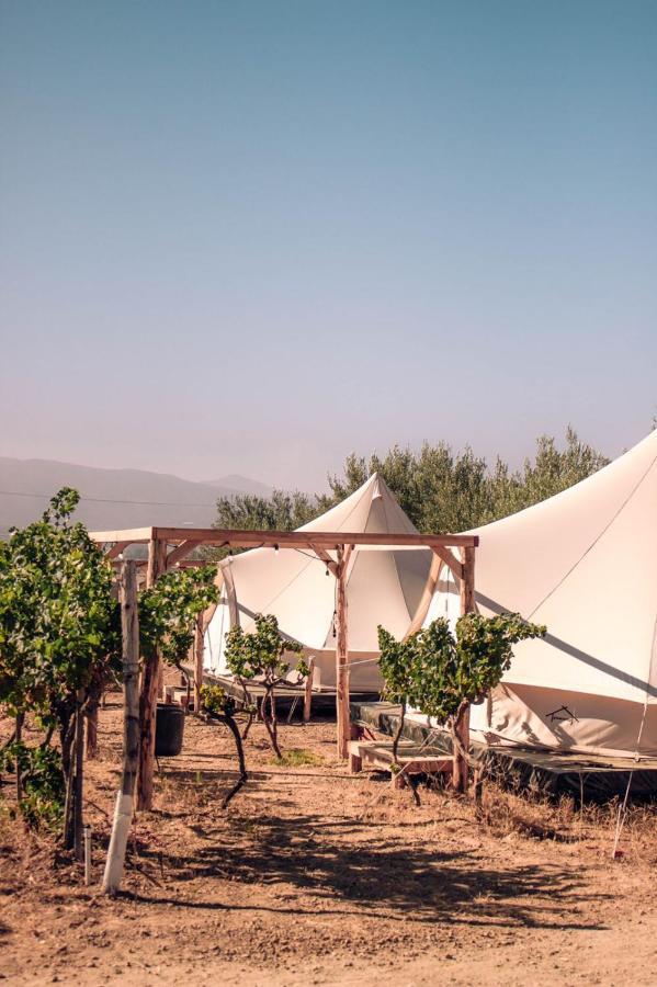 The Pangea Valle De Guadalupe Hotel Luaran gambar